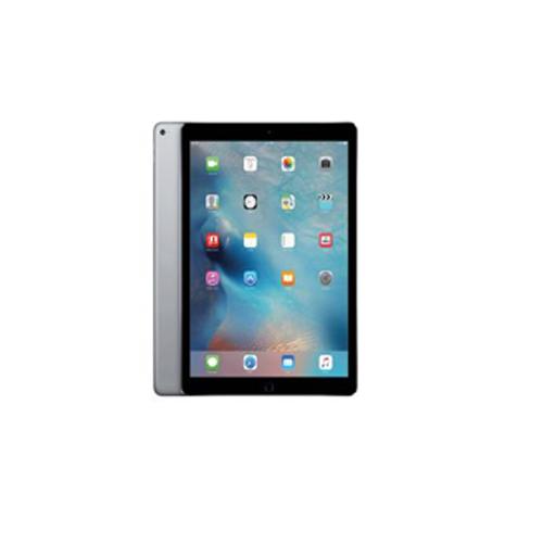 Apple ipad Mini 256GB Grey MUXC2HNA price in hyderabad, telangana, nellore, vizag, bangalore