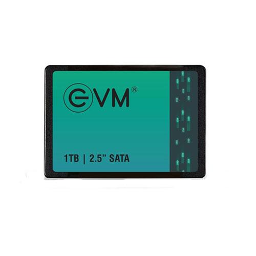 EVM 1TB EVM25 Internal SATA Solid State Drive price in hyderabad, telangana, nellore, vizag